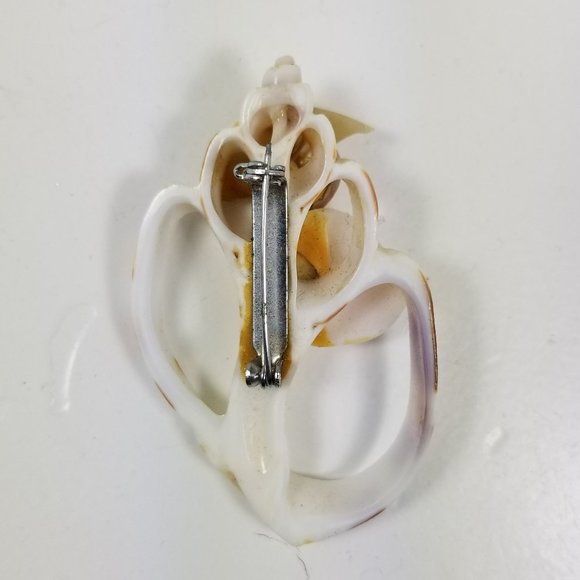 Shell Broach - Picture 2 of 3